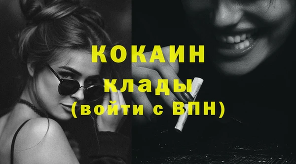 молекула духа Арсеньев