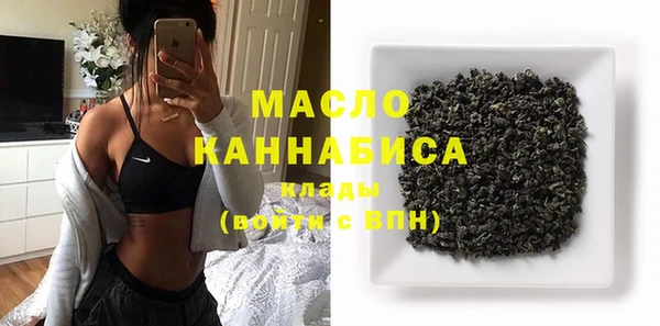 молекула духа Арсеньев