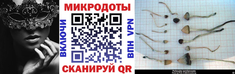 Галлюциногенные грибы Cubensis  Ужур 